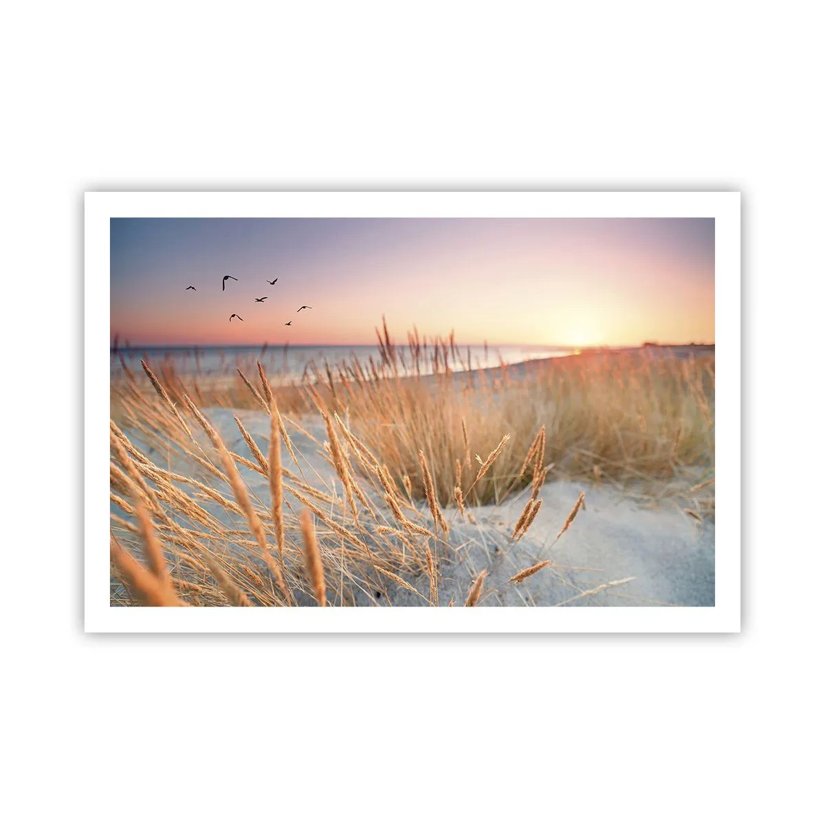 Plakat - Bałtycka kołysanka - 91x61 cm