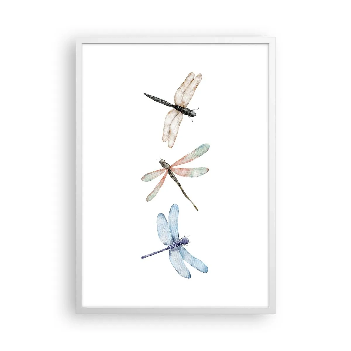 Plakat w białej ramie - Ważki nieważkie - 50x70 cm