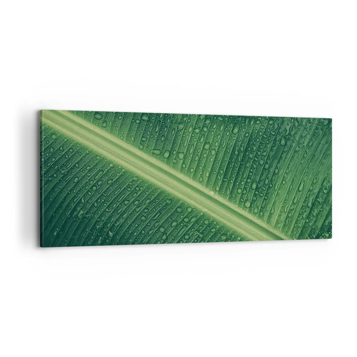 Obraz na płótnie - Struktura zieleni - 100x40 cm