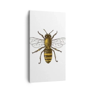 Obraz na płótnie - Piękna i dobra - 45x80 cm