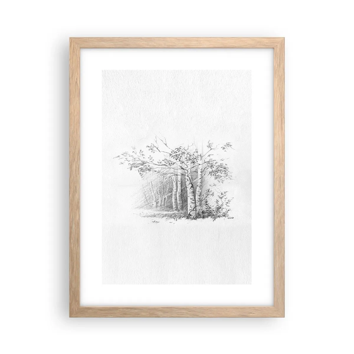 Plakat w ramie jasny dąb - Światło brzozowego lasu - 30x40 cm