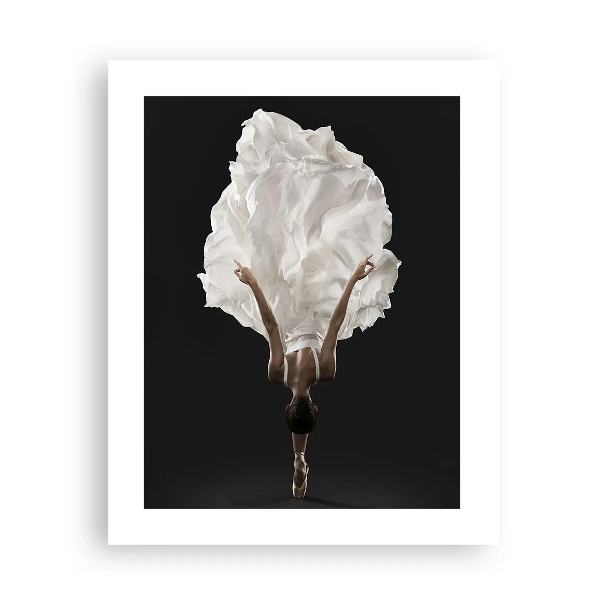 Plakat - Niezwykłe pas - 40x50 cm