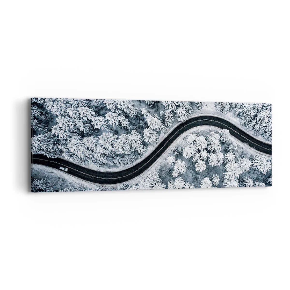 Obraz na płótnie - Przez zimowy las - 90x30 cm