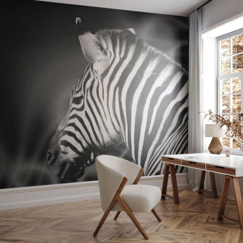 Fototapeta Premium Canvas - Białe jest białe, a czarne jest czarne - Zebra, Czarno-Biały, Zwierzęta - 450x315 cm