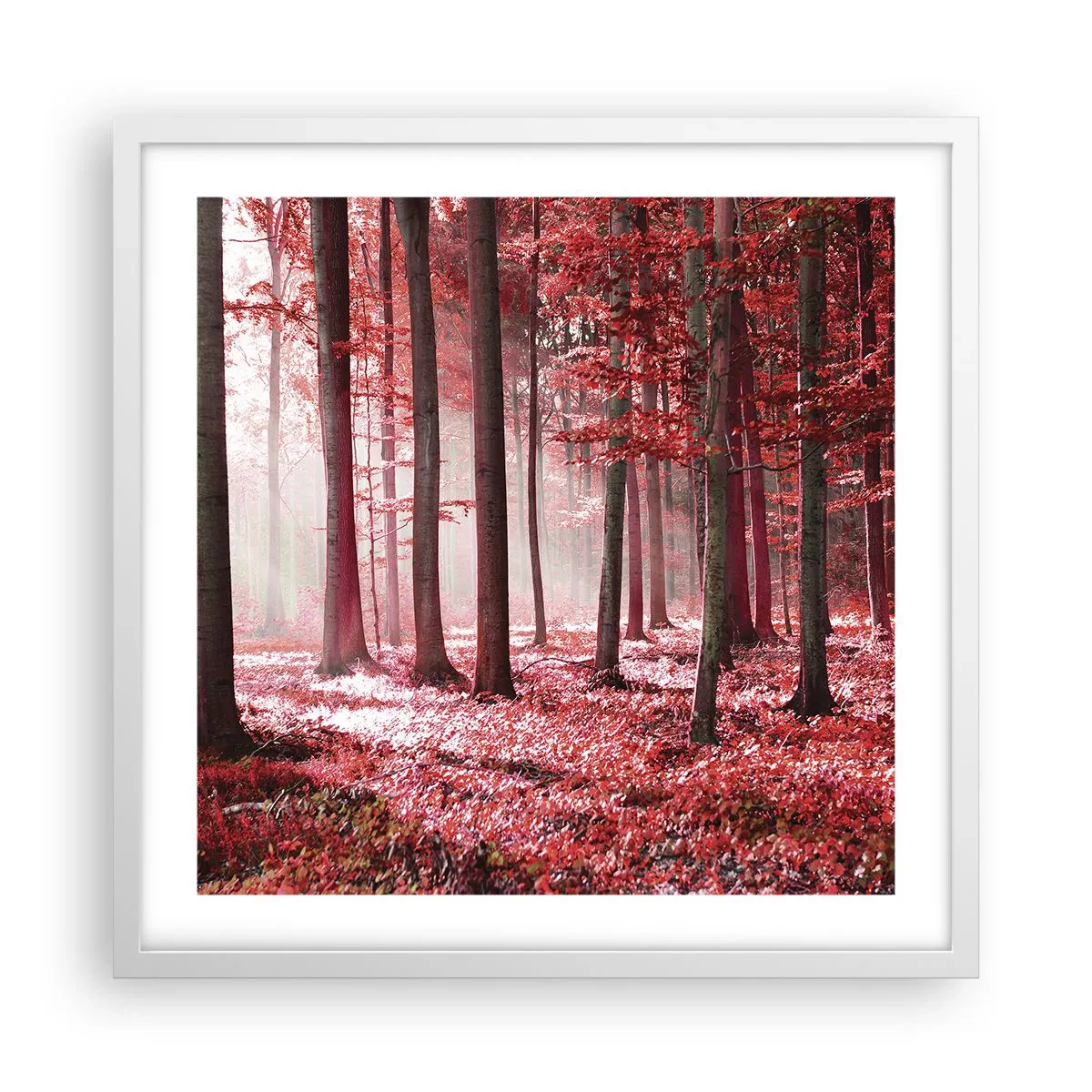 Plakat w białej ramie - Czerwony równie piękny - 50x50 cm