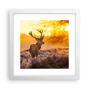 Plakat w białej ramie - Król jesiennego lasu - 30x30 cm