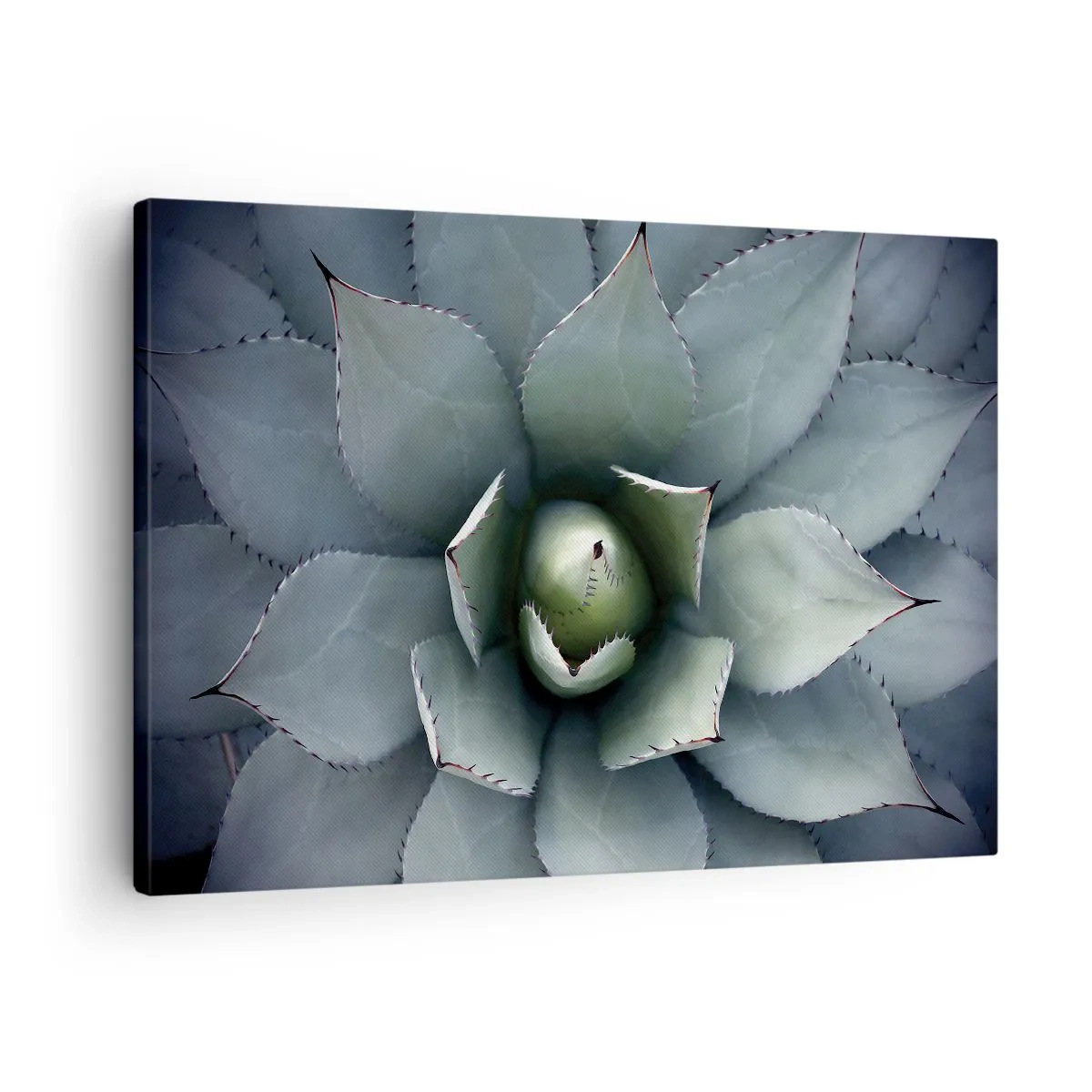 Obraz na płótnie - Zbliżenie na rozetę agawy w delikatnych odcieniach zieleni - 70x50cm - Wabi i przestrzega - Nowoczesna dekoracja ścienna do salonu i sypialni ARTTOR