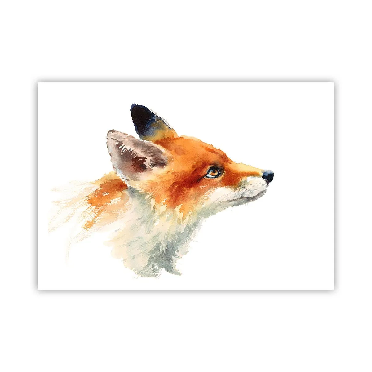 Plakat - Rudy lis w akwarelowym stylu na białym tle - 100x70cm - Ostrożności nigdy za wiele - Nowoczesna dekoracja ścienna do salonu i sypialni ARTTOR