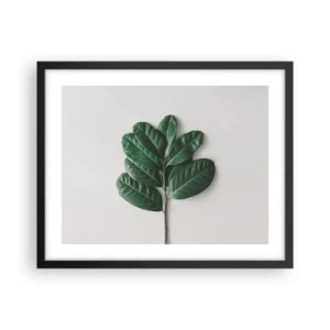 Plakat w czarnej ramie - Rysunek samej natury - 50x40 cm