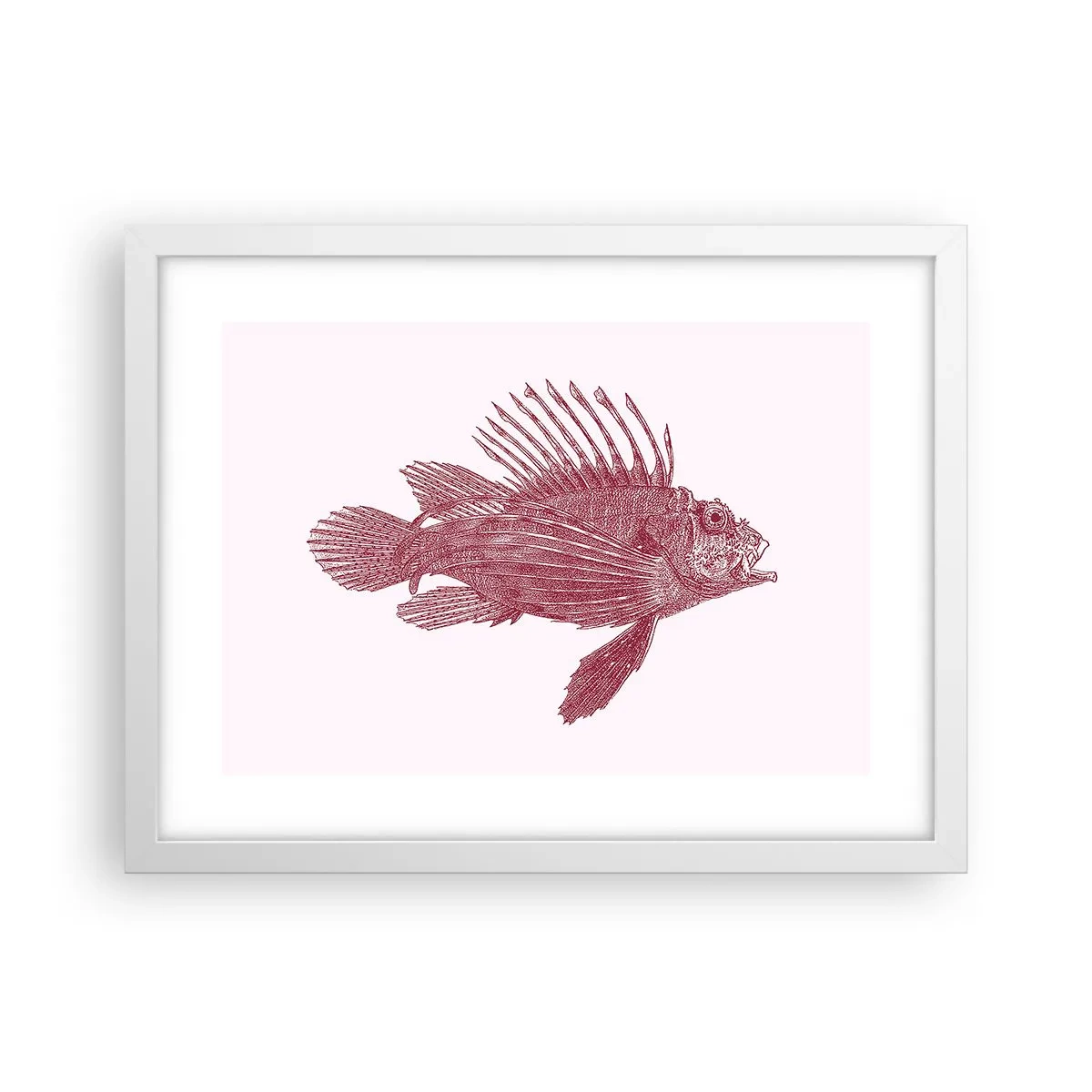 Plakat w białej ramie - Mieszkanka egzotycznych wód - 40x30 cm