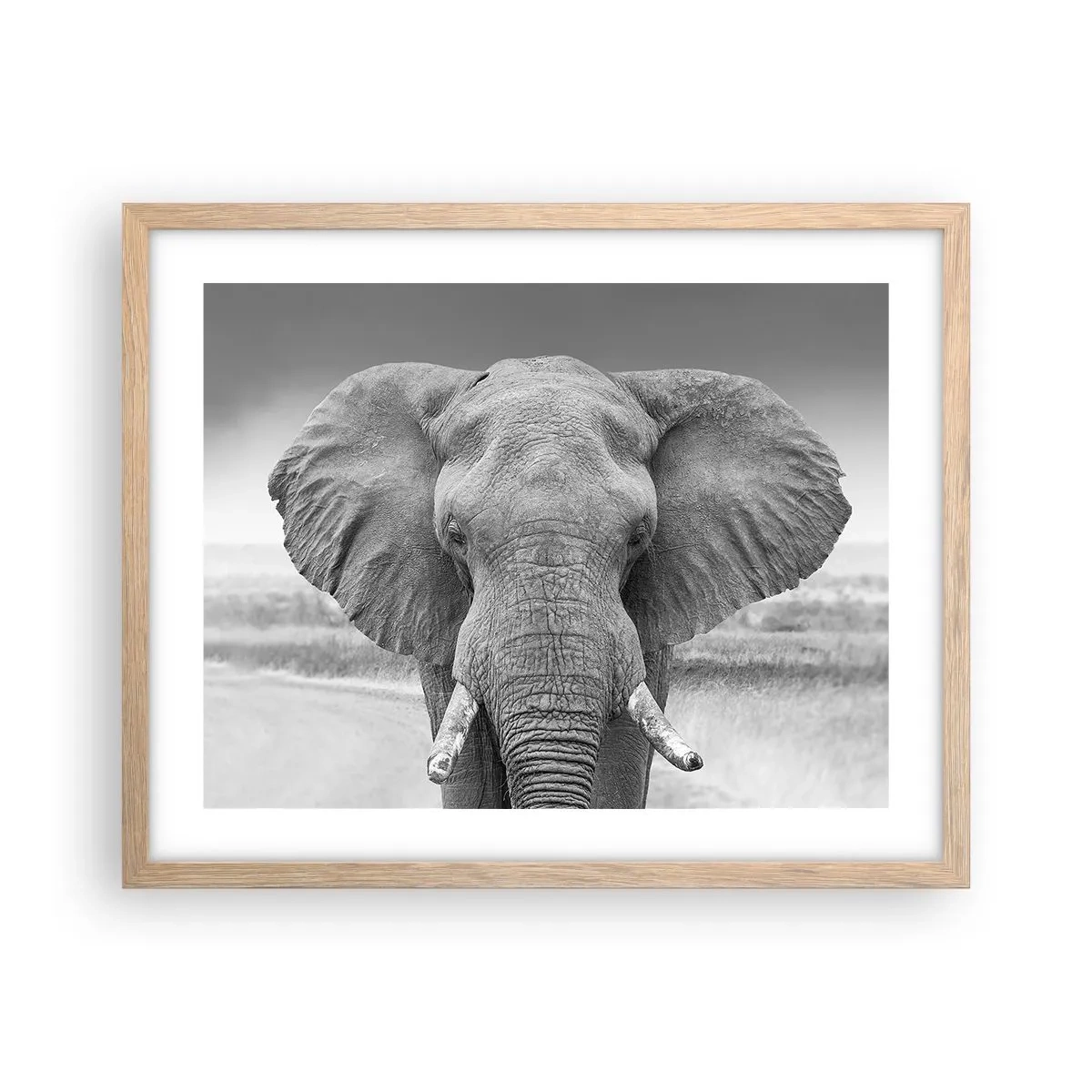 Plakat w ramie jasny dąb - Witaj w moim świecie - 50x40 cm