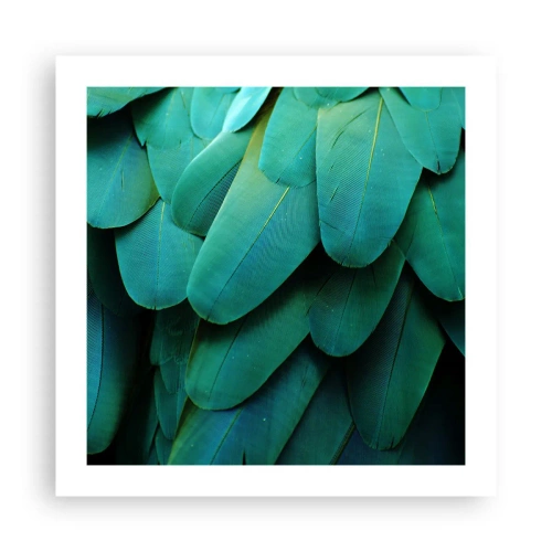 Plakat - Precyzja papuziej natury - 50x50 cm
