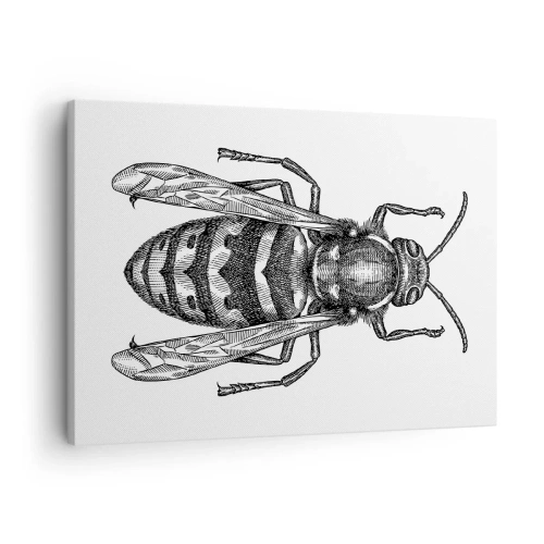 Obraz na płótnie - Rysunkowy motyw osy na białym tle w stylu minimalistycznym - 70x50cm - Z owadziej planety - Nowoczesna dekoracja ścienna do salonu i sypialni ARTTOR
