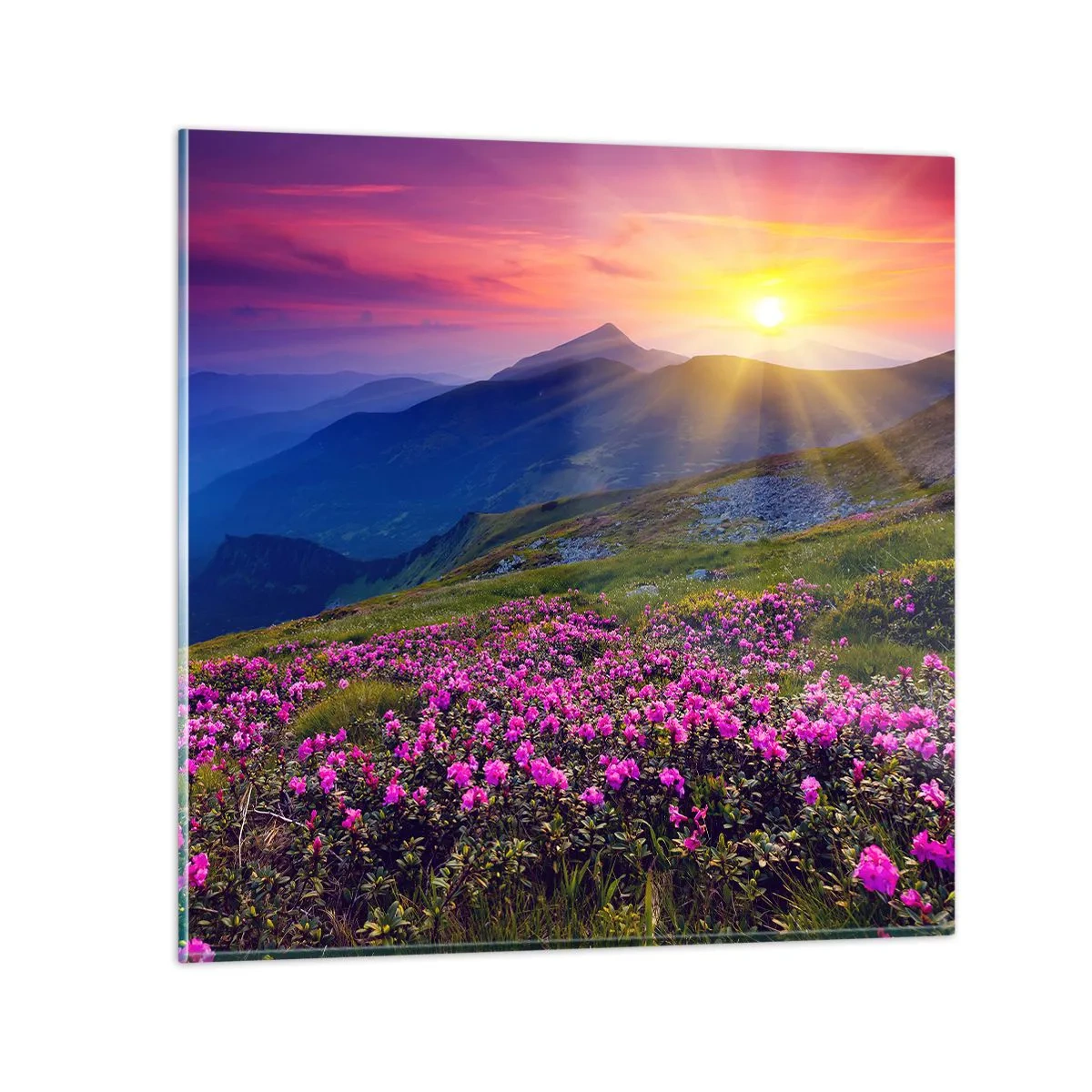 Obraz na szkle - … A dokoła pachnie kosodrzewina i wonieją zioła - 60x60 cm