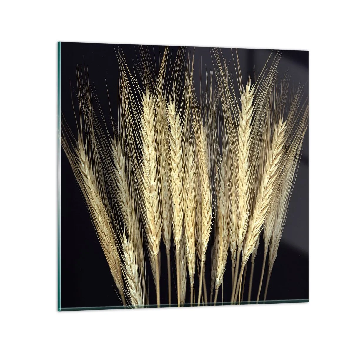 Obraz na szkle - Rustykalna magia - 60x60 cm