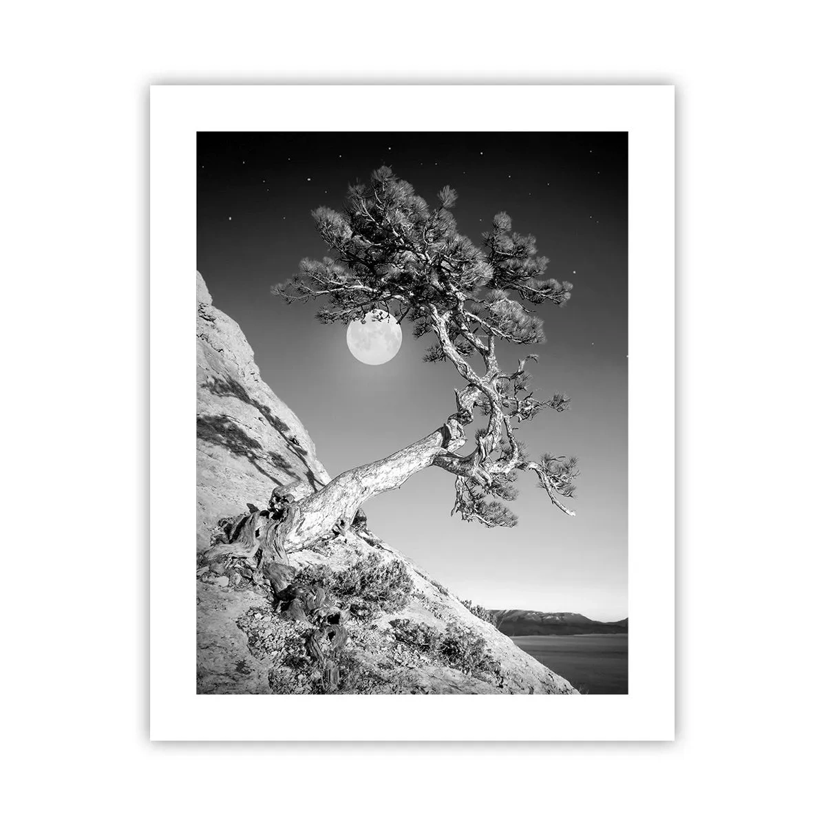 Plakat - Zwycięska wojowniczka - 40x50 cm