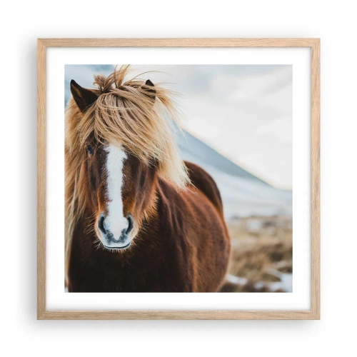 Plakat w ramie jasny dąb - Czujesz wolność? - 50x50 cm