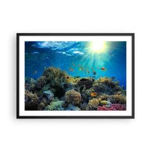 Plakat w czarnej ramie - Rafa koralowa z rybami w promieniach słońca pod wodą - 70x50cm - Podwodne skarby - Nowoczesna dekoracja ścienna do salonu i sypialni ARTTOR