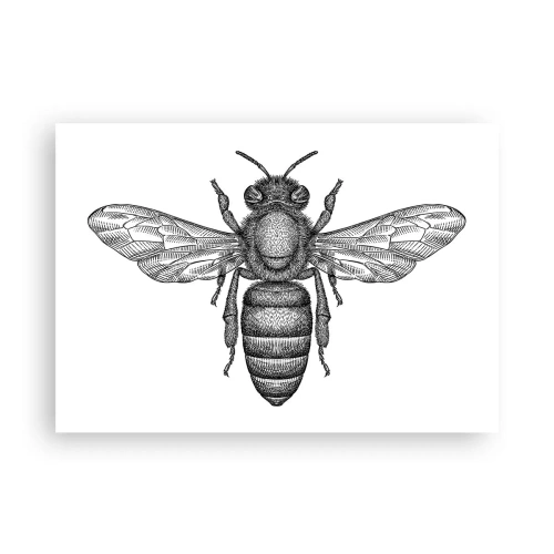 Plakat - Rysunkowy motyw pszczoły na białym tle w minimalistycznym stylu - 100x70cm - Owadzi portret - Nowoczesna dekoracja ścienna do salonu i sypialni ARTTOR