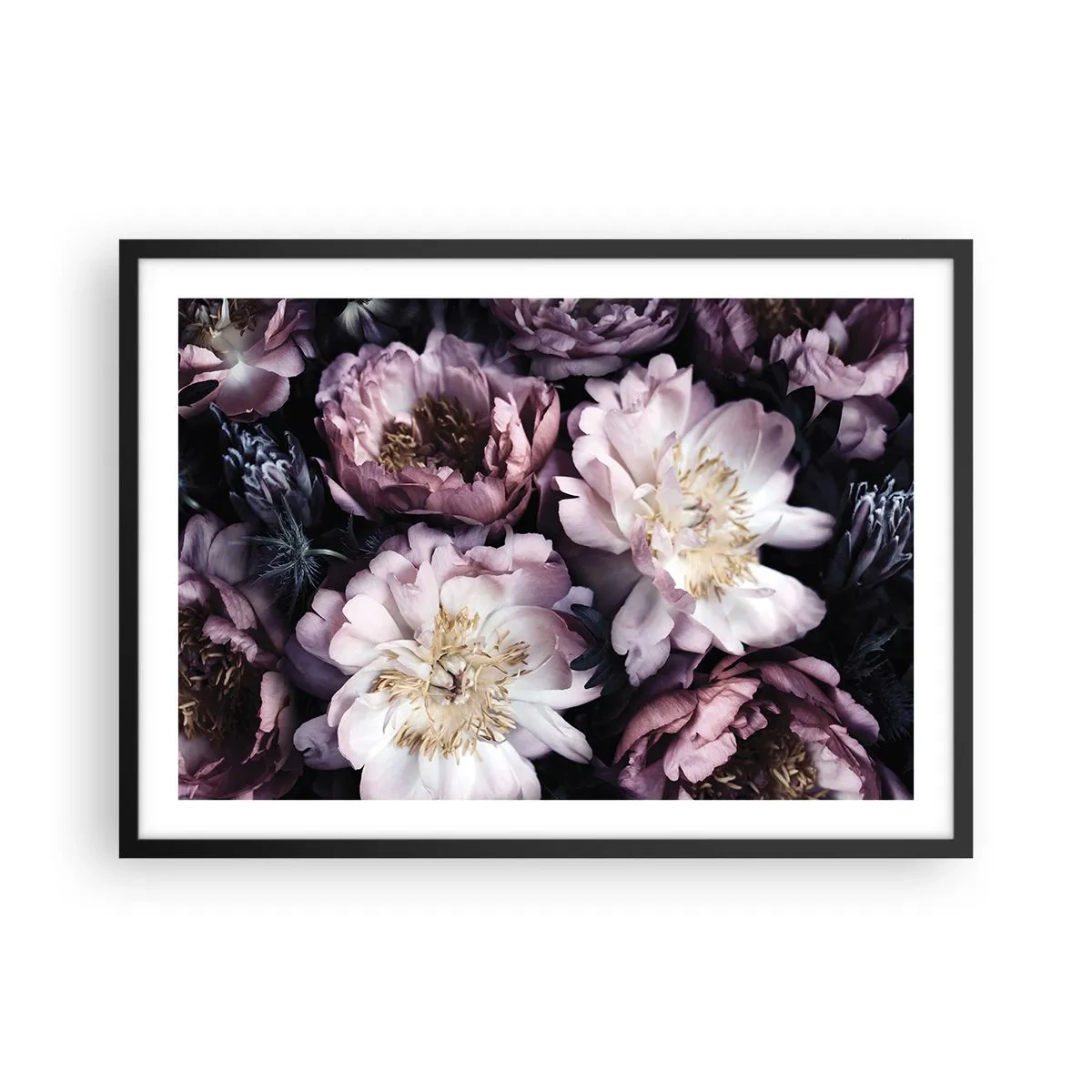 Plakat w czarnej ramie - Kwiaty w delikatnych pastelowych odcieniach - 70x50cm - Bukiet w dawnym stylu - Nowoczesna dekoracja ścienna do salonu i sypialni ARTTOR