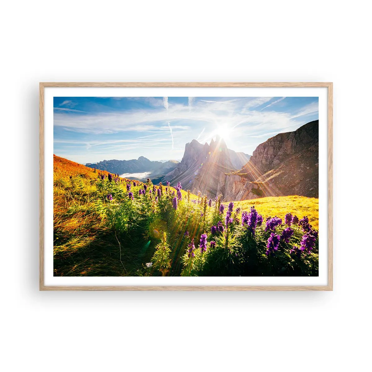 Plakat w ramie jasny dąb - Sekretne życie ziół - 100x70 cm