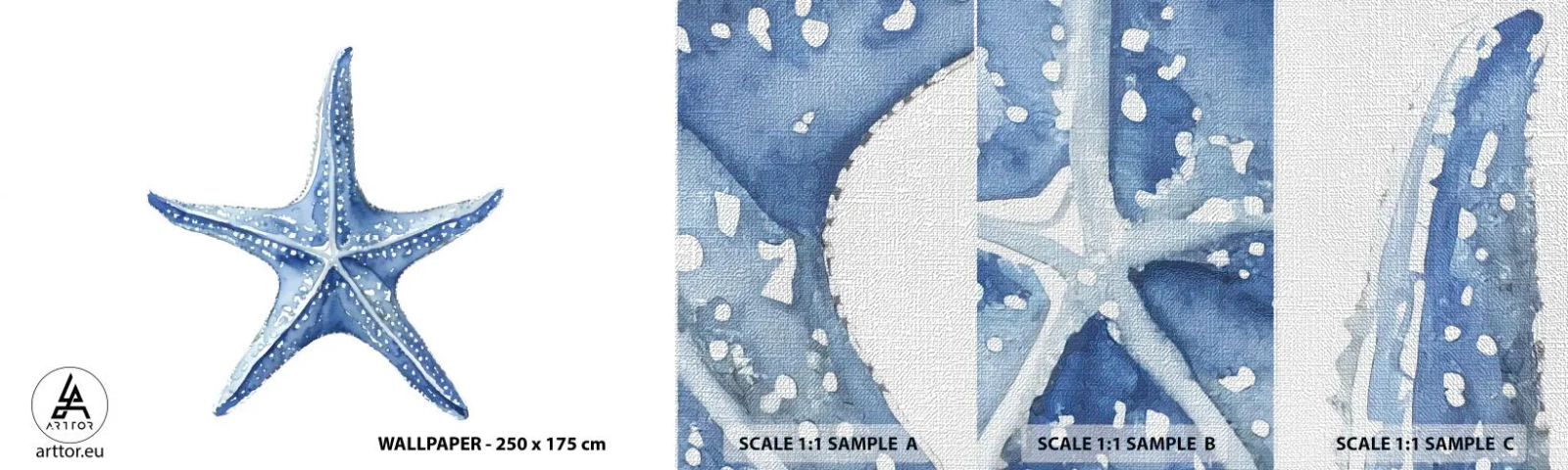 Fototapeta Próbka Premium Canvas - Gwiazda morza - Rozgwiazda, Nadmorski, Rafa Koralowa - 100x30 cm