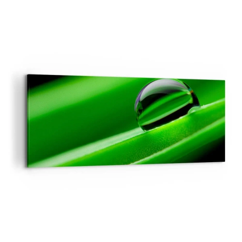 Obraz na płótnie - Kropla rosy na zielonym liściu w zbliżeniu - 120x50cm - Życie z bliska - Nowoczesna dekoracja ścienna do salonu i sypialni ARTTOR