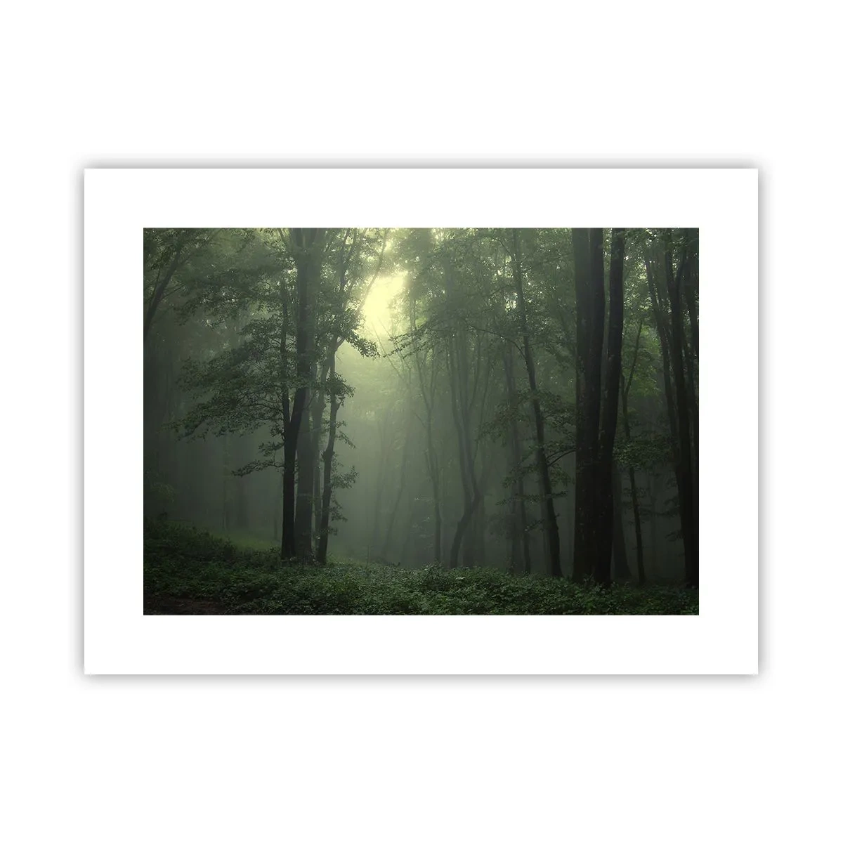 Plakat - Zanim się obudzi - 40x30 cm