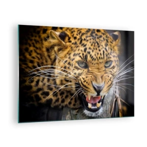 Obraz na szkle - Zbliżenie agresywnego lamparta z wyraźnymi detalami - 70x50cm - Nie podchodź, ostrzegam! - Nowoczesna dekoracja ścienna do salonu i sypialni ARTTOR