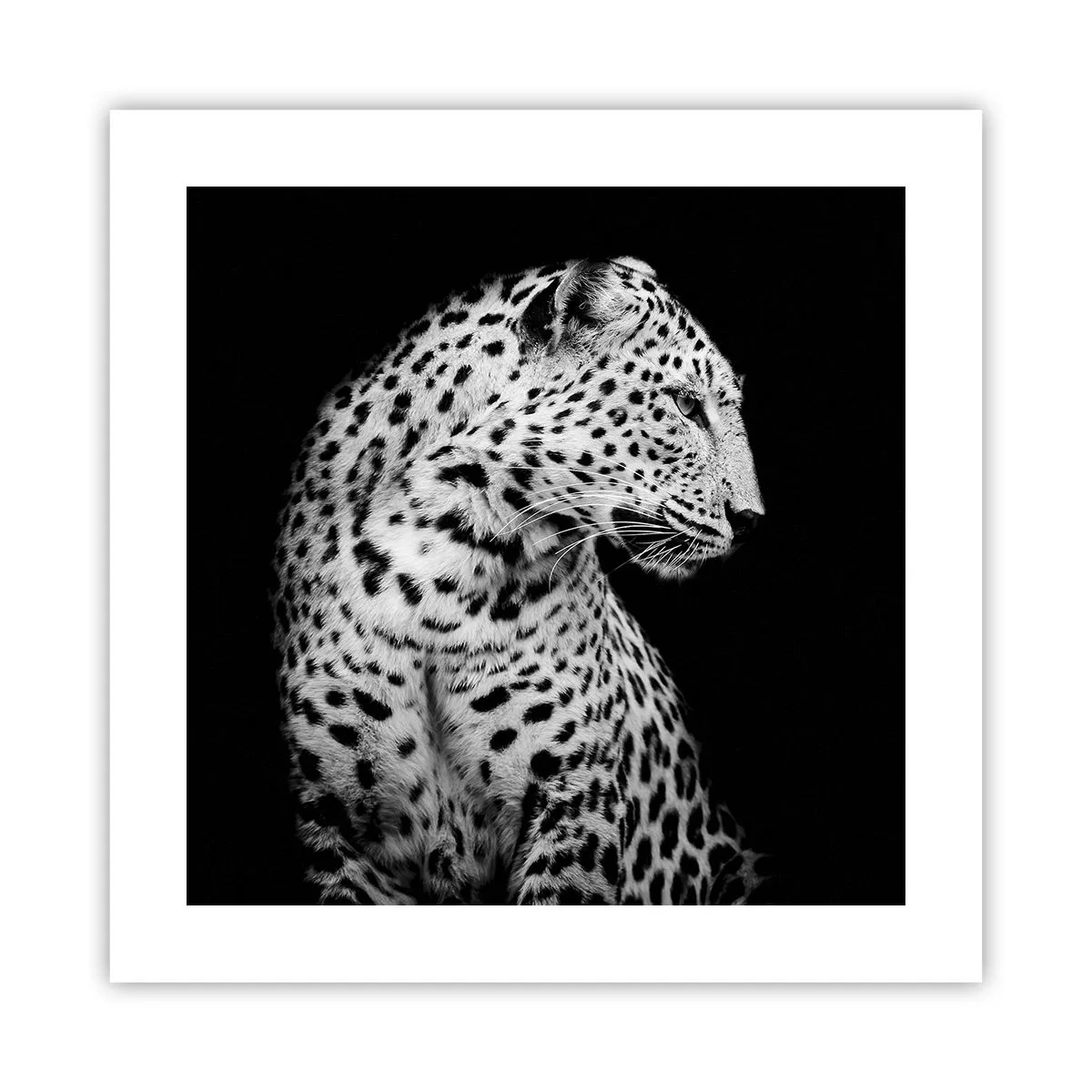 Plakat - Prawy profil doskonały! - 40x40 cm