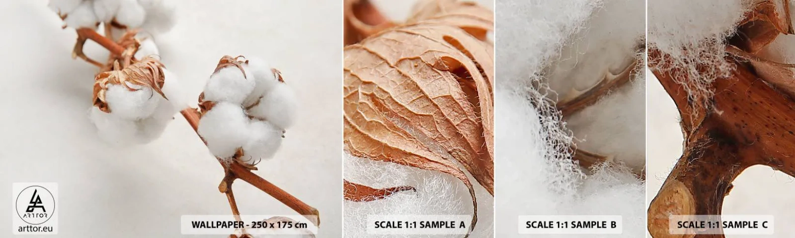 Fototapeta Próbka Standard Eco - Tylko tulić - Kwiat Bawełny, Kwiat, Gałązka Bawełny - 100x30 cm