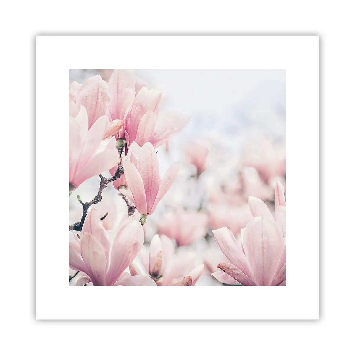 Plakat - Ideał subtelności - 30x30 cm