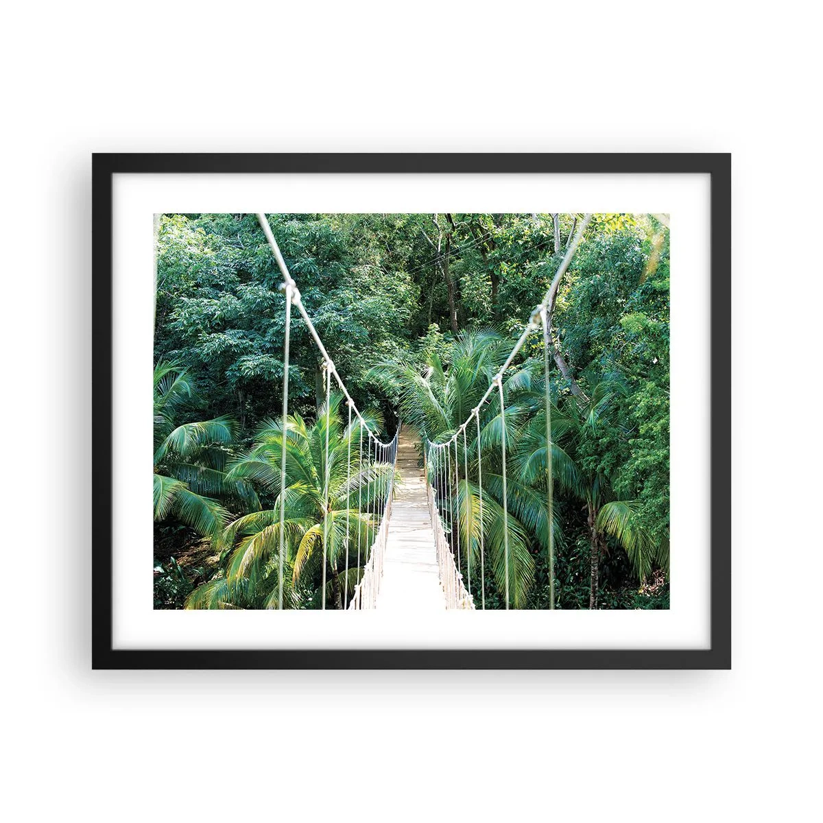 Plakat w czarnej ramie - Welcome to the jungle! - 50x40 cm