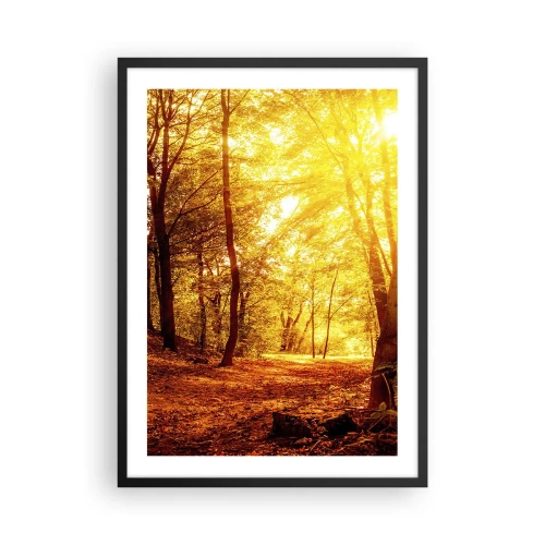 Plakat w czarnej ramie - Zachód słońca oświetlający jesienny las pełen złotych liści - 50x70cm - Ku złotej polanie - Nowoczesna dekoracja ścienna do salonu i sypialni ARTTOR