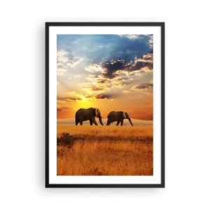 Plakat w czarnej ramie - Słonie wędrujące w blasku zachodzącego słońca - 50x70cm - Rodzinna przechadzka - Nowoczesna dekoracja ścienna do salonu i sypialni ARTTOR