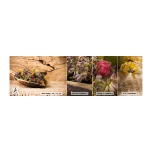 Fototapeta Próbka Premium Canvas - Kwiecie barwiste i zioła pachnące - Natura, Suszone Zioła, Kuchnia - 100x30 cm