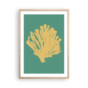 Plakat w ramie jasny dąb - Krzak podwodnego lasu - 50x70 cm