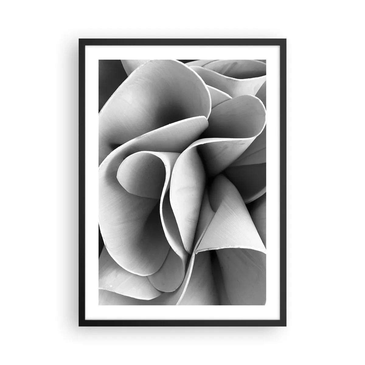 Plakat w czarnej ramie - Abstrakcyjne płatki w odcieniach szarości - 50x70cm - Dzieje się w przestrzeni - Nowoczesna dekoracja ścienna do salonu i sypialni ARTTOR