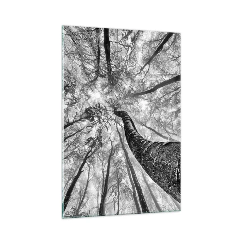 Obraz na szkle - Perspektywa drzew w lesie widzianych od dołu w odcieniach szarości - 70x100cm - Wyścig do światła - Nowoczesna dekoracja ścienna do salonu i sypialni ARTTOR