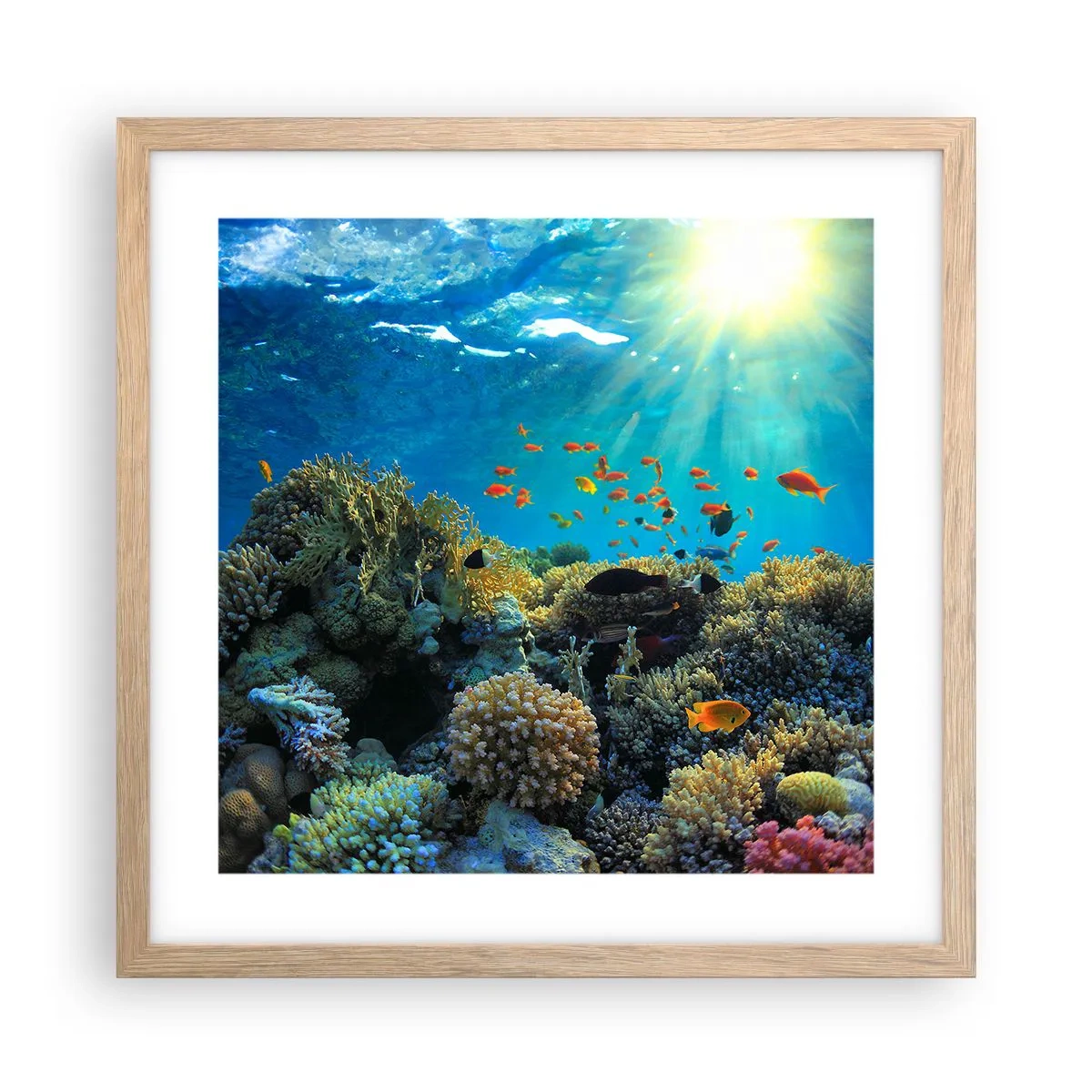 Plakat w ramie jasny dąb - Podwodne skarby - 40x40 cm