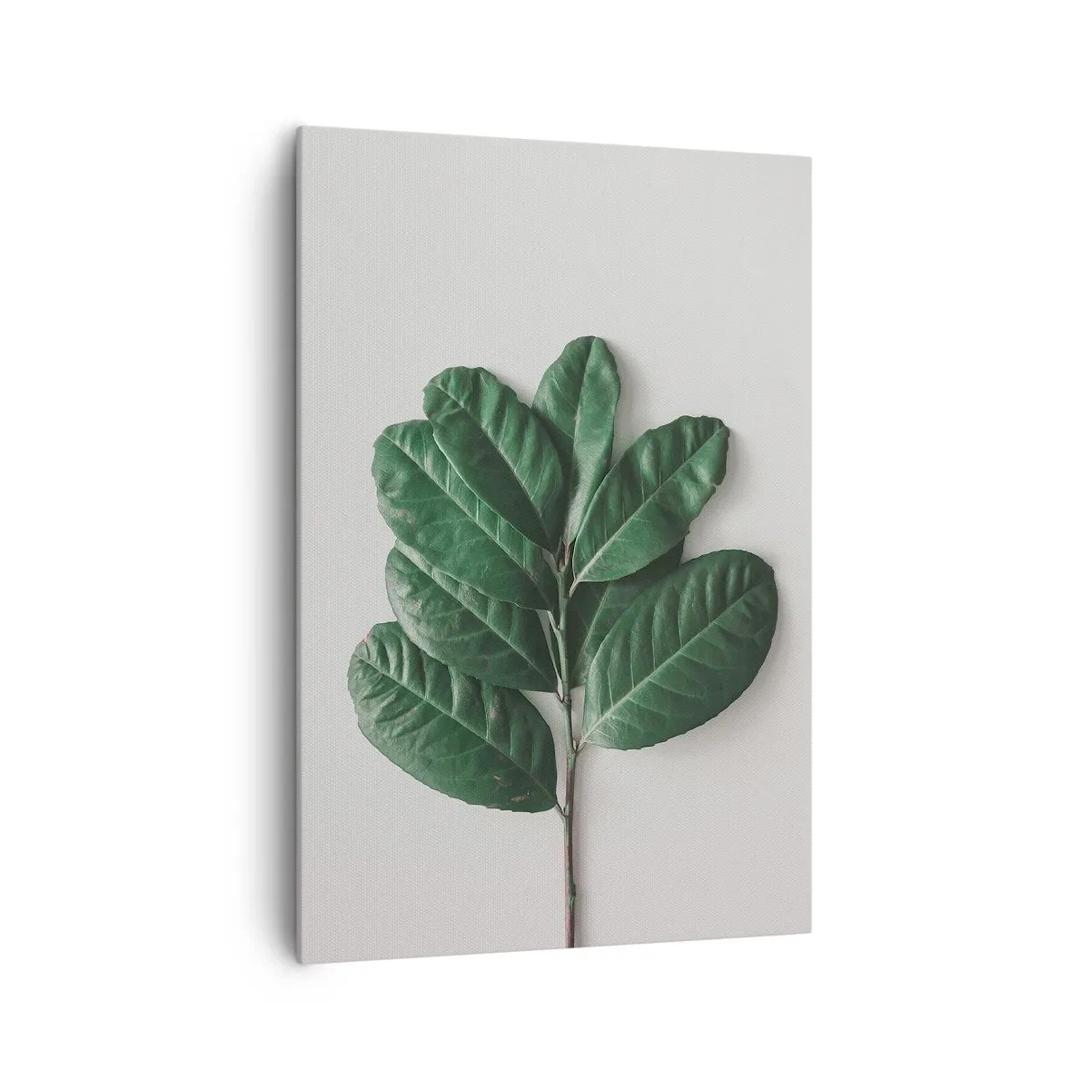 Obraz na płótnie - Gałązka zielonych liści na jasnym tle - 70x100cm - Rysunek samej natury - Nowoczesna dekoracja ścienna do salonu i sypialni ARTTOR