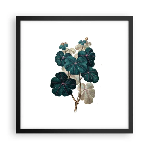 Plakat w czarnej ramie - Ze starego zielnika - 40x40 cm