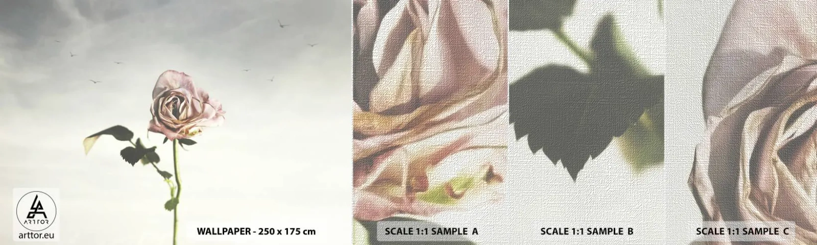 Fototapeta Próbka Premium Canvas - Powitanie wiosny - Róża, Kwiat, Sztuka - 100x30 cm