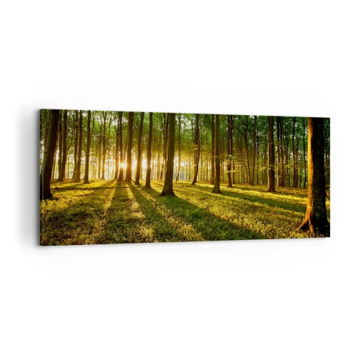 Obraz na płótnie - Zachodzące słońce w lesie liściastym - 120x50cm - Fotografia wszystkich wiosen - Nowoczesna dekoracja ścienna do salonu i sypialni ARTTOR