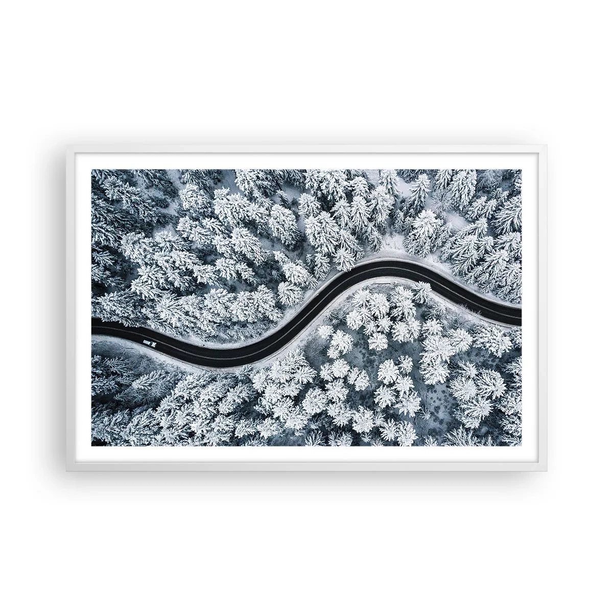 Plakat w białej ramie - Przez zimowy las - 91x61 cm