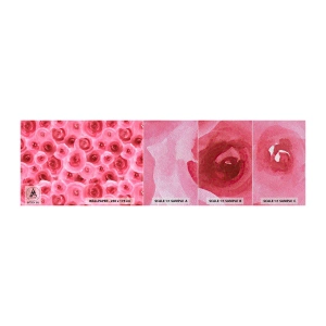 Fototapeta Próbka Premium Sand - Róże na dole i na górze - Kwiaty, Piękno, Romantyzm - 100x30 cm