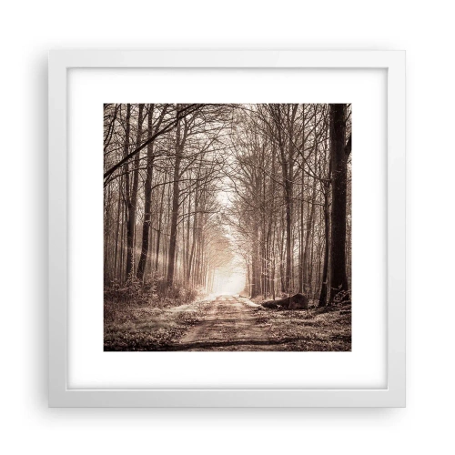 Plakat w białej ramie - Leśna katedra - 30x30 cm