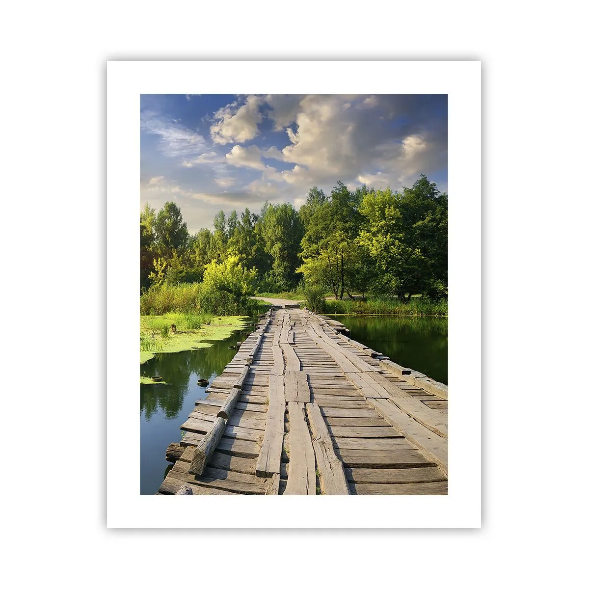 Plakat - Lato, lato wszędzie - 40x50 cm