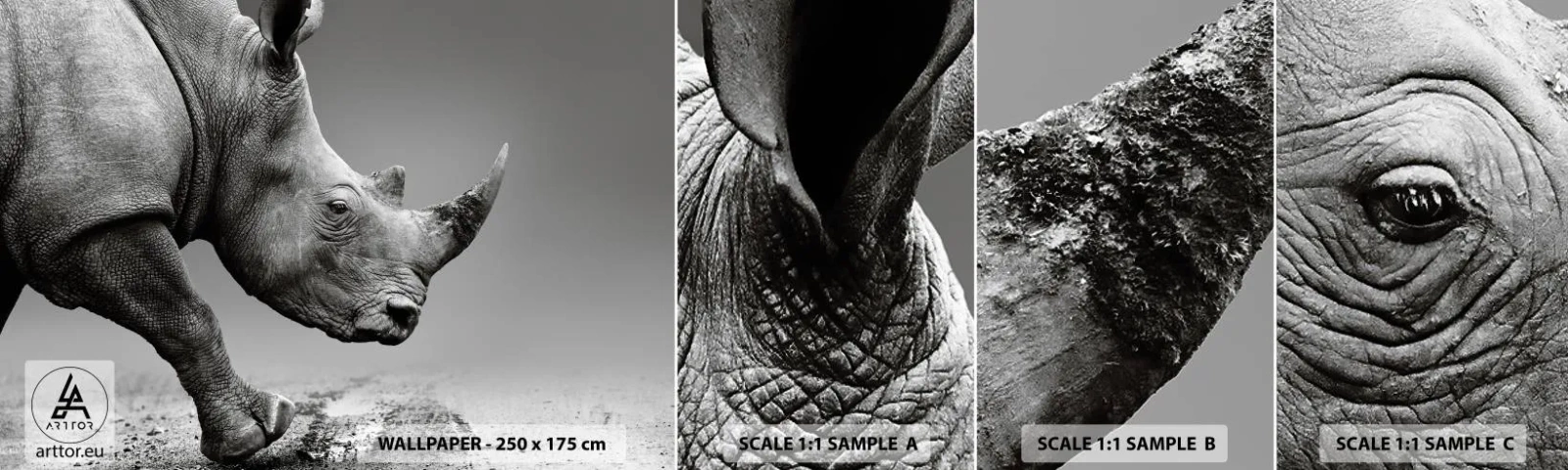 Fototapeta Próbka Standard Eco - Niepowstrzymana siła - Nosorożec, Zwierzęta, Afryka - 100x30 cm