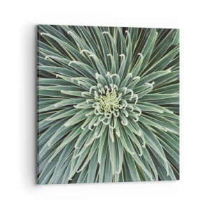 Obraz na płótnie - Narodziny gwiazdy - 70x70 cm